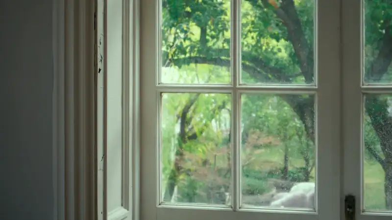 White painted sash window looking out onto trees